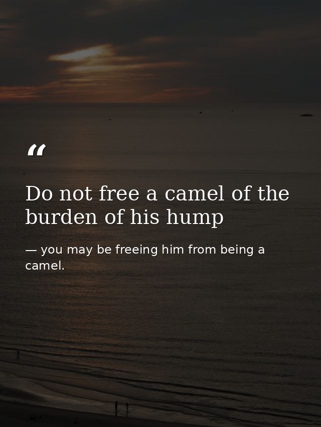 Do not free a camel of the burden of his hump — you may be freeing him from being a camel.