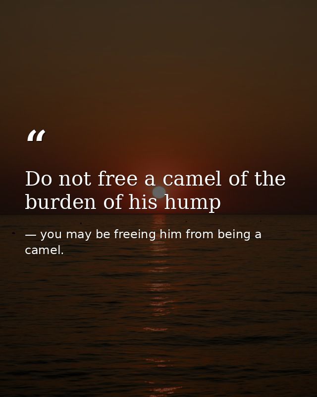 Do not free a camel of the burden of his hump — you may be freeing him from being a camel.