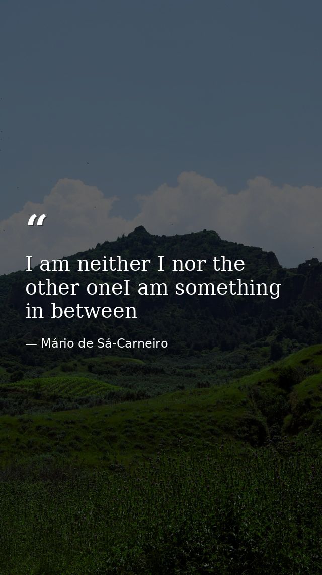 I am neither I nor the other oneI am something in between — Mário de Sá-Carneiro