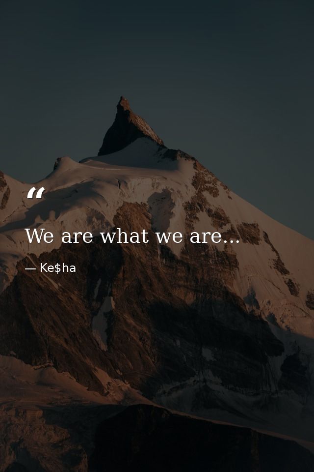 We are what we are... — Ke$ha