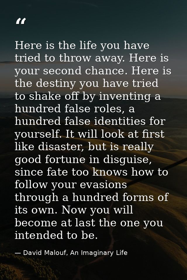 Here is the life you have tried to throw away. Here is your second chance. Here is the destiny you have tried to shake o — David Malouf, An Imaginary Life