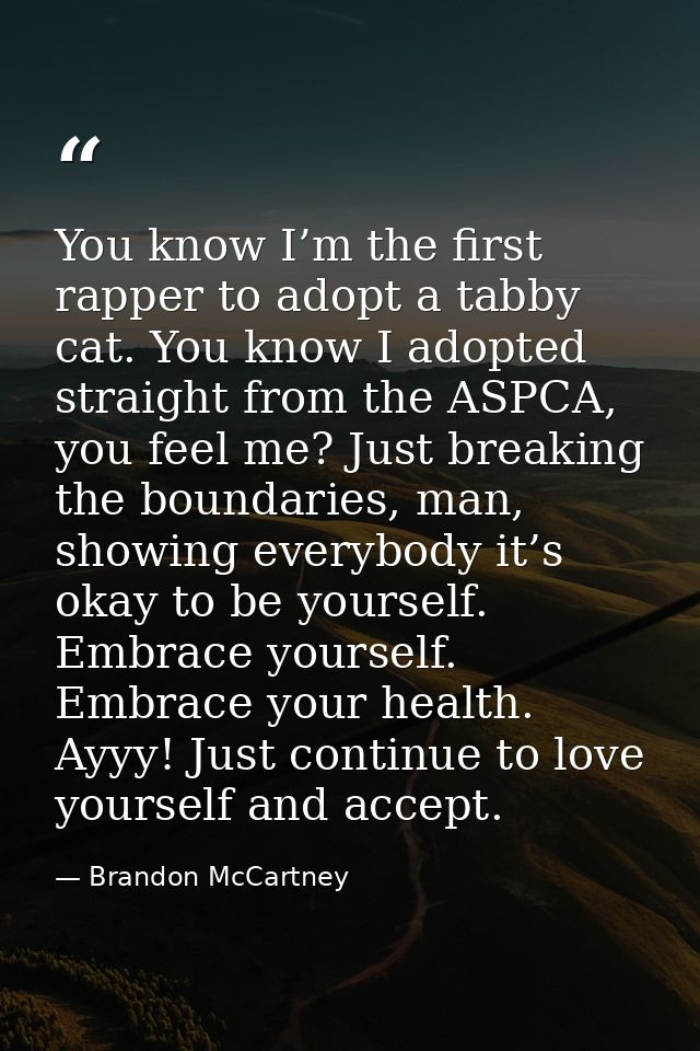 You know I’m the first rapper to adopt a tabby cat. You know I adopted straight from the ASPCA, you feel me? Just breaki — Brandon McCartney