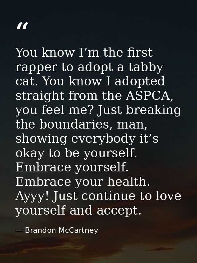 You know I’m the first rapper to adopt a tabby cat. You know I adopted straight from the ASPCA, you feel me? Just breaki — Brandon McCartney