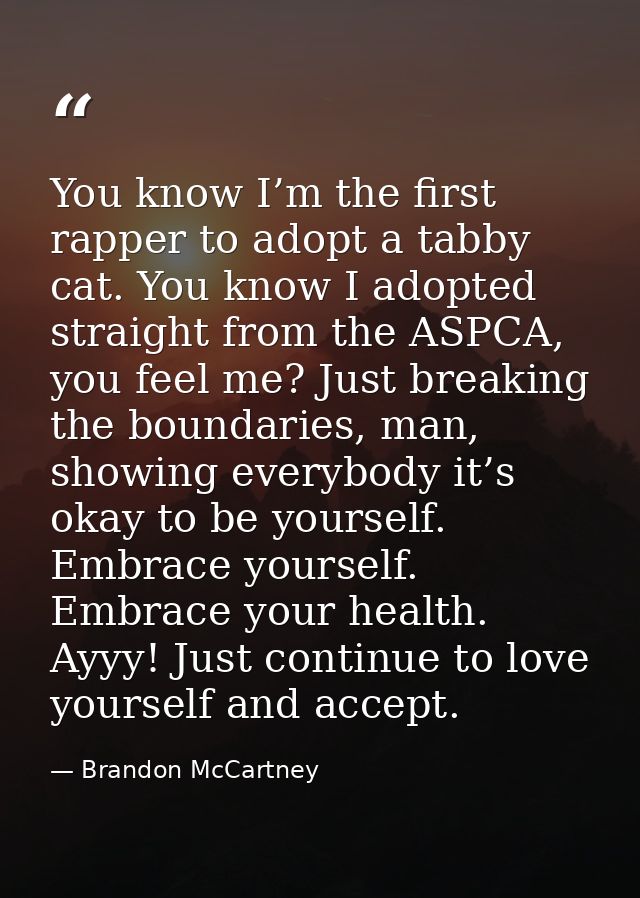 You know I’m the first rapper to adopt a tabby cat. You know I adopted straight from the ASPCA, you feel me? Just breaki — Brandon McCartney