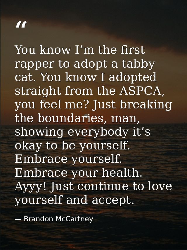 You know I’m the first rapper to adopt a tabby cat. You know I adopted straight from the ASPCA, you feel me? Just breaki — Brandon McCartney