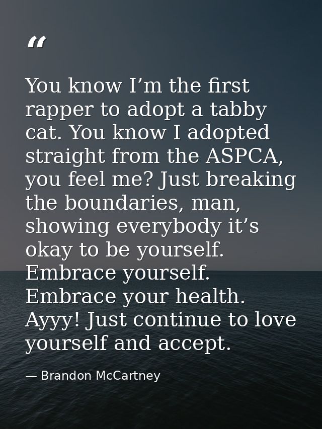 You know I’m the first rapper to adopt a tabby cat. You know I adopted straight from the ASPCA, you feel me? Just breaki — Brandon McCartney