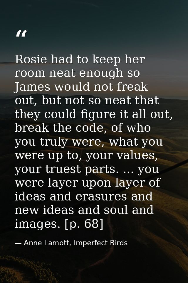 Rosie had to keep her room neat enough so James would not freak out, but not so neat that they could figure it all out,  — Anne Lamott, Imperfect Birds