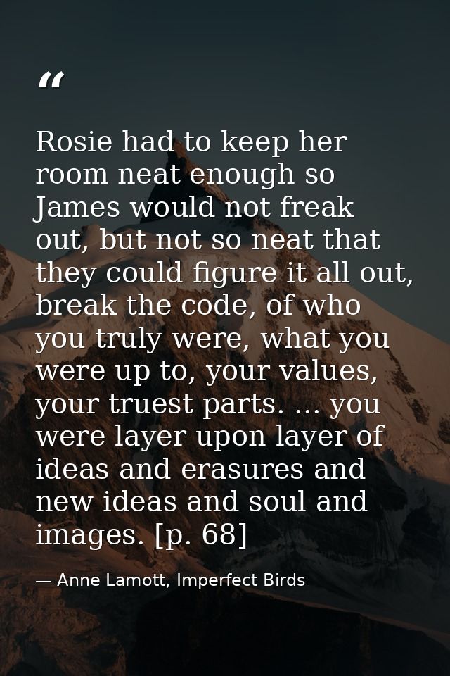 Rosie had to keep her room neat enough so James would not freak out, but not so neat that they could figure it all out,  — Anne Lamott, Imperfect Birds
