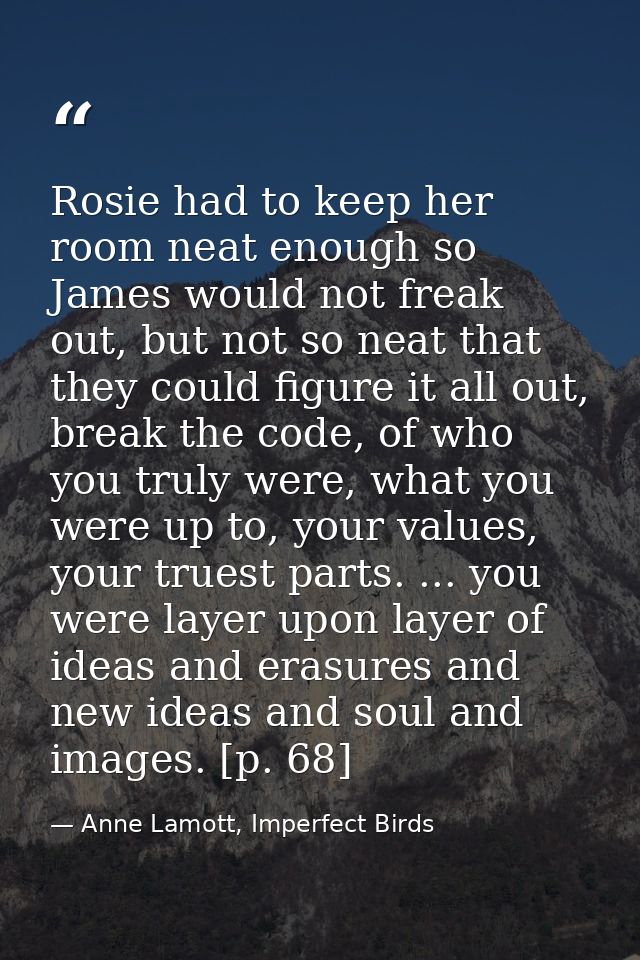 Rosie had to keep her room neat enough so James would not freak out, but not so neat that they could figure it all out,  — Anne Lamott, Imperfect Birds