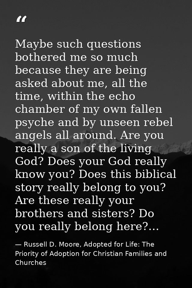 Maybe such questions bothered me so much because they are being asked about me, all the time, within the echo chamber of — Russell D. Moore, Adopted for Life: The Priority of Adoption for Christian Families and Churches