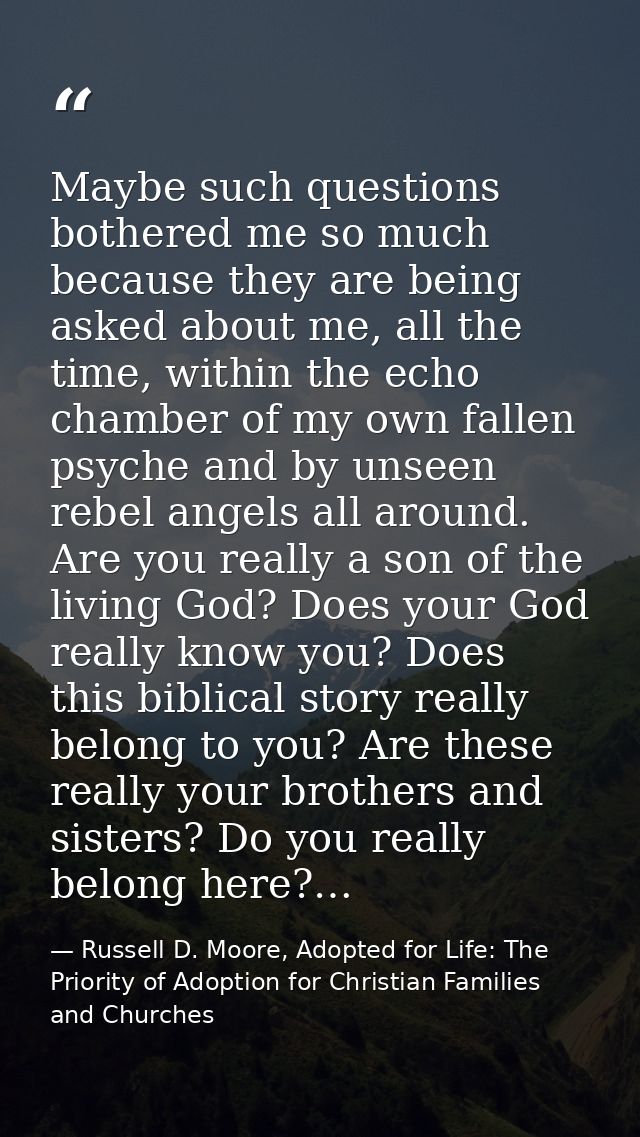 Maybe such questions bothered me so much because they are being asked about me, all the time, within the echo chamber of — Russell D. Moore, Adopted for Life: The Priority of Adoption for Christian Families and Churches