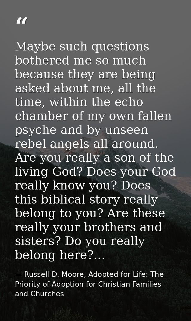 Maybe such questions bothered me so much because they are being asked about me, all the time, within the echo chamber of — Russell D. Moore, Adopted for Life: The Priority of Adoption for Christian Families and Churches