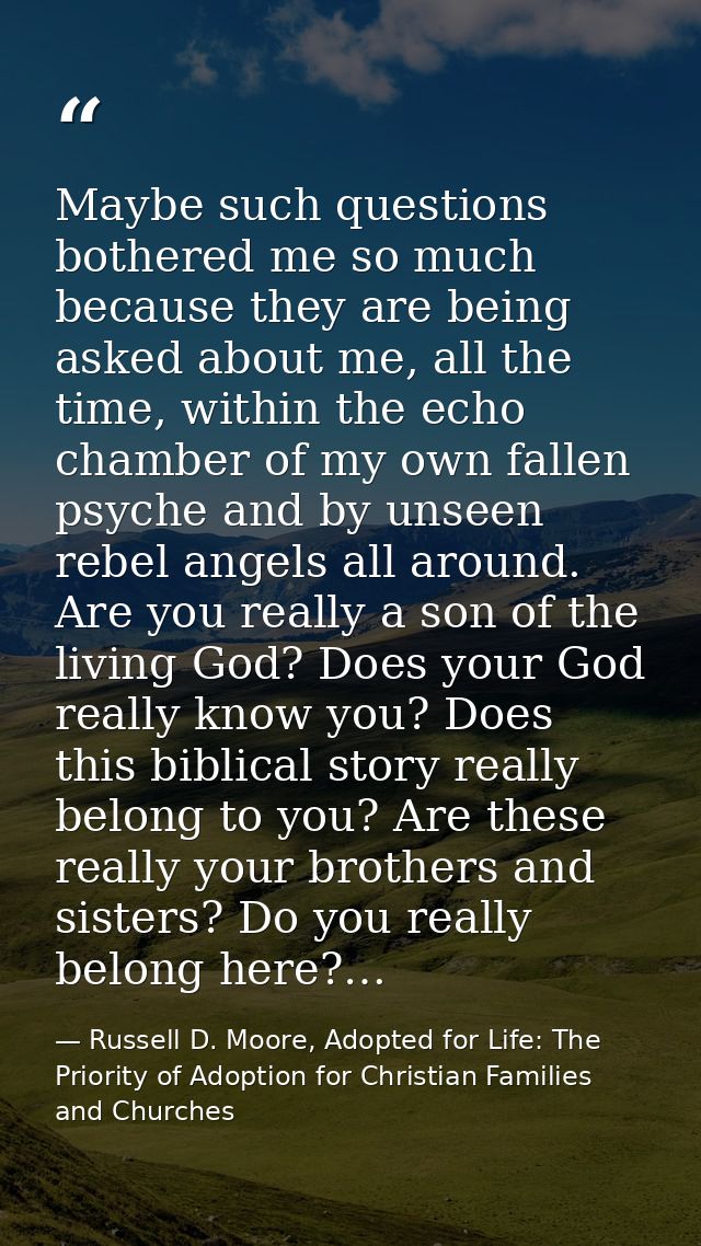 Maybe such questions bothered me so much because they are being asked about me, all the time, within the echo chamber of — Russell D. Moore, Adopted for Life: The Priority of Adoption for Christian Families and Churches
