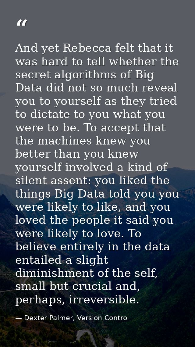 And yet Rebecca felt that it was hard to tell whether the secret algorithms of Big Data did not so much reveal you to yo — Dexter Palmer, Version Control