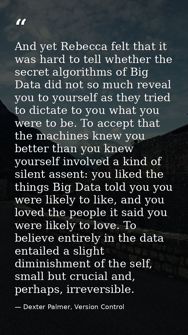 And yet Rebecca felt that it was hard to tell whether the secret algorithms of Big Data did not so much reveal you to yo — Dexter Palmer, Version Control
