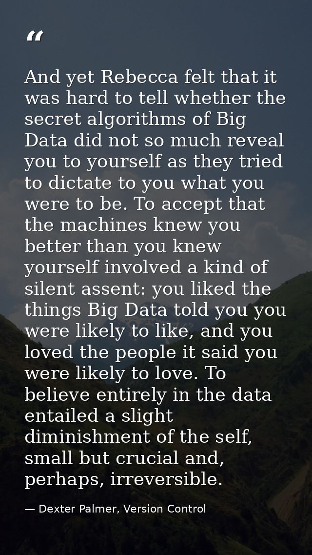 And yet Rebecca felt that it was hard to tell whether the secret algorithms of Big Data did not so much reveal you to yo — Dexter Palmer, Version Control