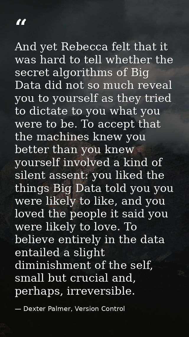 And yet Rebecca felt that it was hard to tell whether the secret algorithms of Big Data did not so much reveal you to yo — Dexter Palmer, Version Control