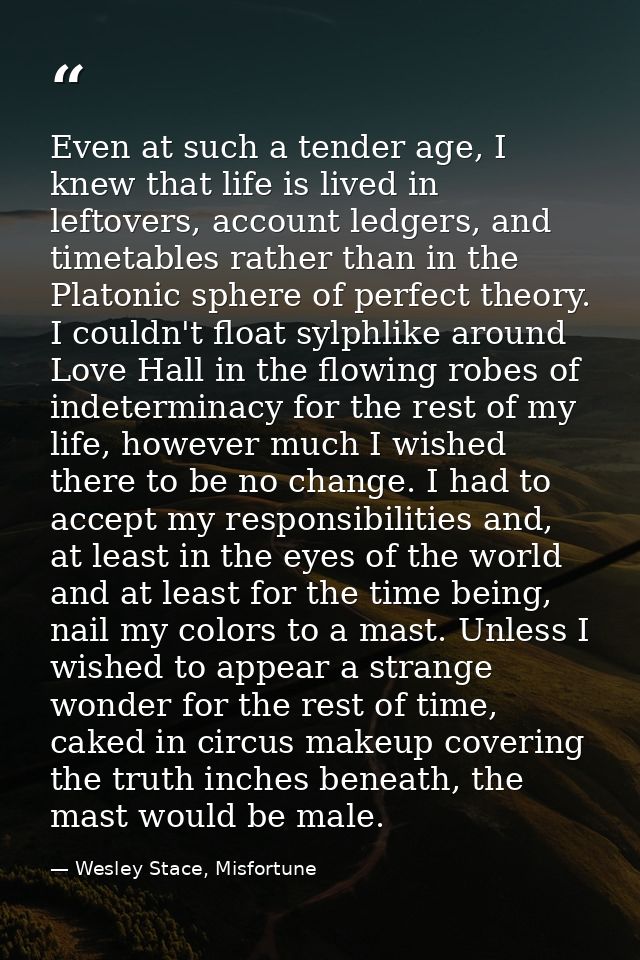 Even at such a tender age, I knew that life is lived in leftovers, account ledgers, and timetables rather than in the Pl — Wesley Stace, Misfortune
