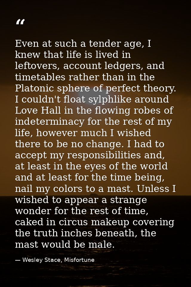 Even at such a tender age, I knew that life is lived in leftovers, account ledgers, and timetables rather than in the Pl — Wesley Stace, Misfortune