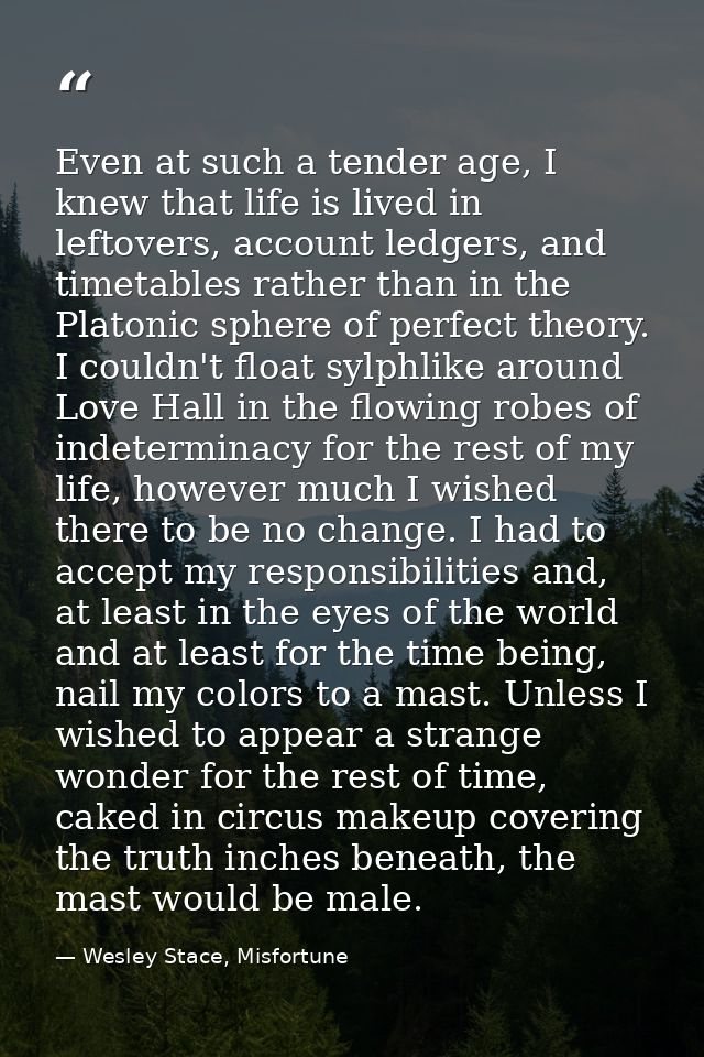 Even at such a tender age, I knew that life is lived in leftovers, account ledgers, and timetables rather than in the Pl — Wesley Stace, Misfortune