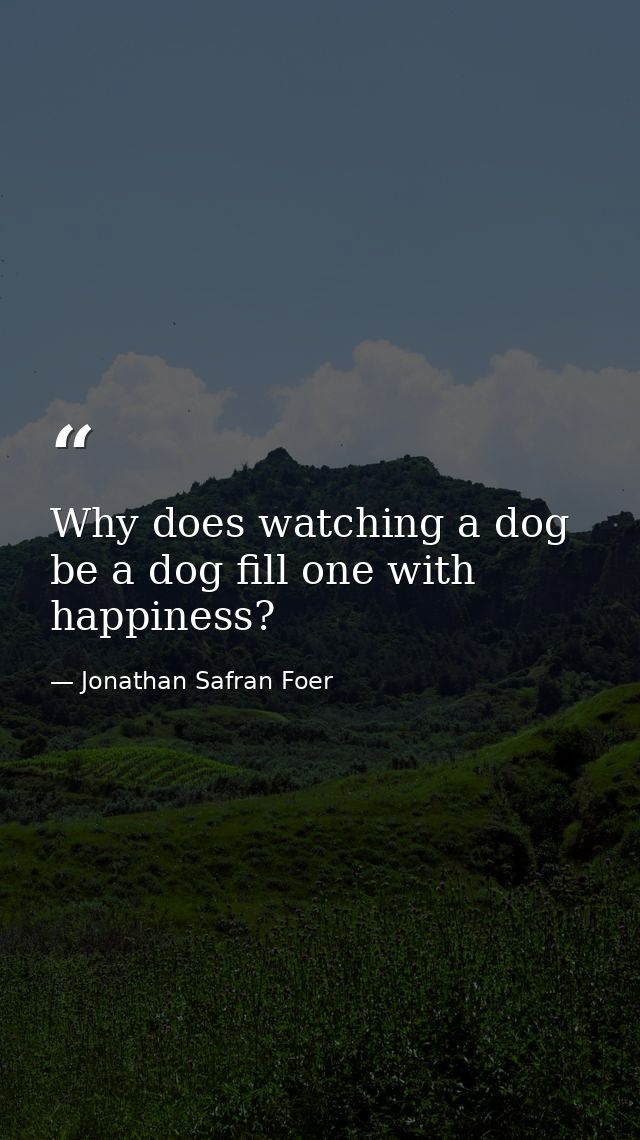 Why does watching a dog be a dog fill one with happiness? — Jonathan Safran Foer
