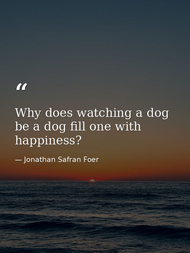 Why does watching a dog be a dog fill one with happiness? — Jonathan Safran Foer
