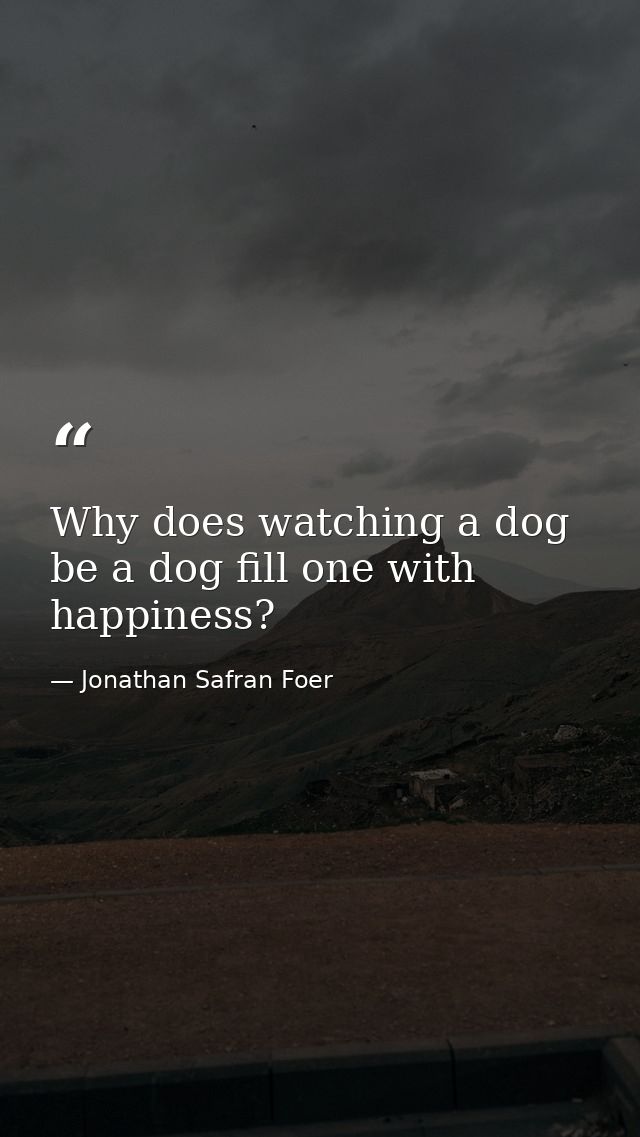 Why does watching a dog be a dog fill one with happiness? — Jonathan Safran Foer