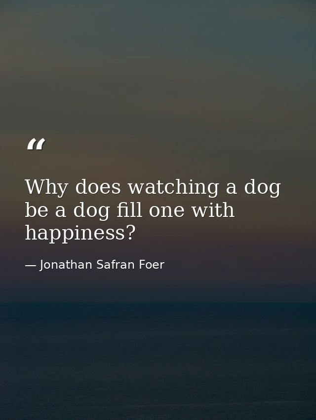 Why does watching a dog be a dog fill one with happiness? — Jonathan Safran Foer