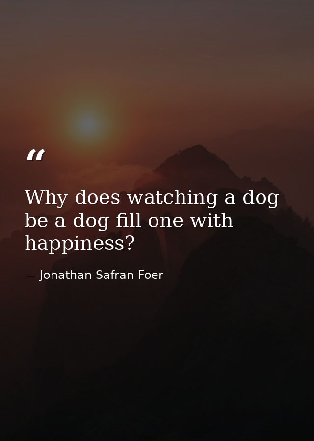 Why does watching a dog be a dog fill one with happiness? — Jonathan Safran Foer