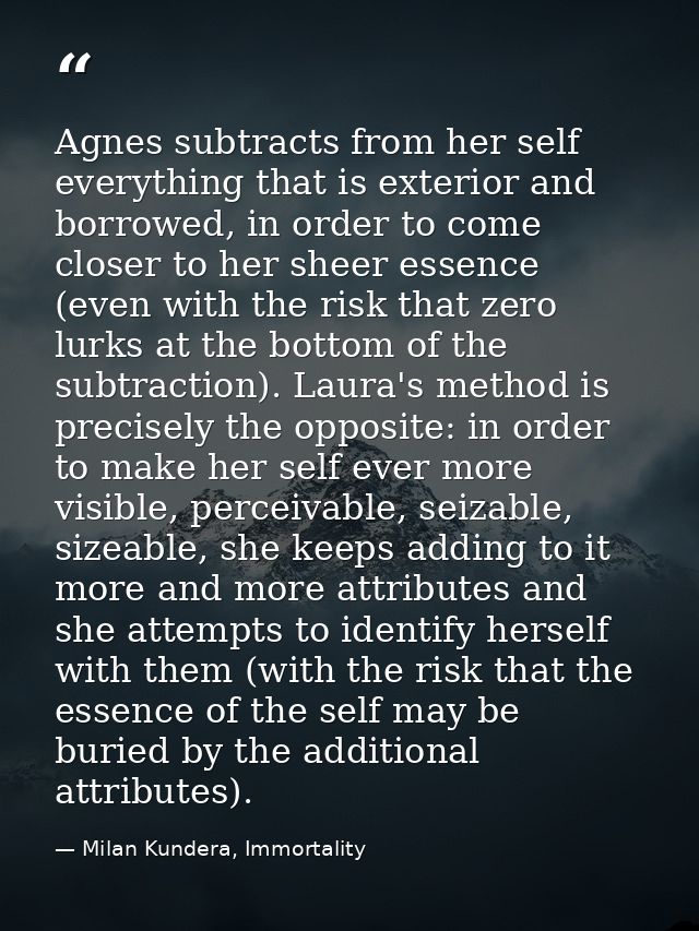 Agnes subtracts from her self everything that is exterior and borrowed, in order to come closer to her sheer essence (ev — Milan Kundera, Immortality