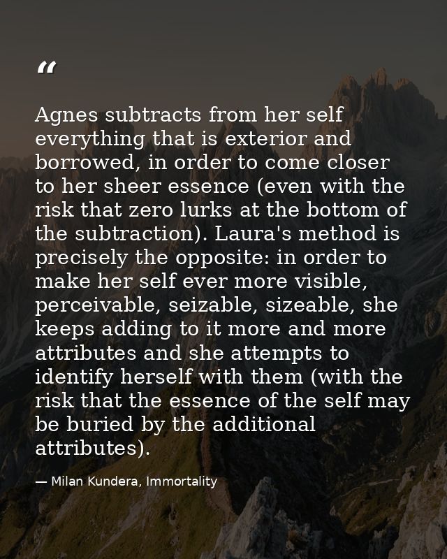 Agnes subtracts from her self everything that is exterior and borrowed, in order to come closer to her sheer essence (ev — Milan Kundera, Immortality