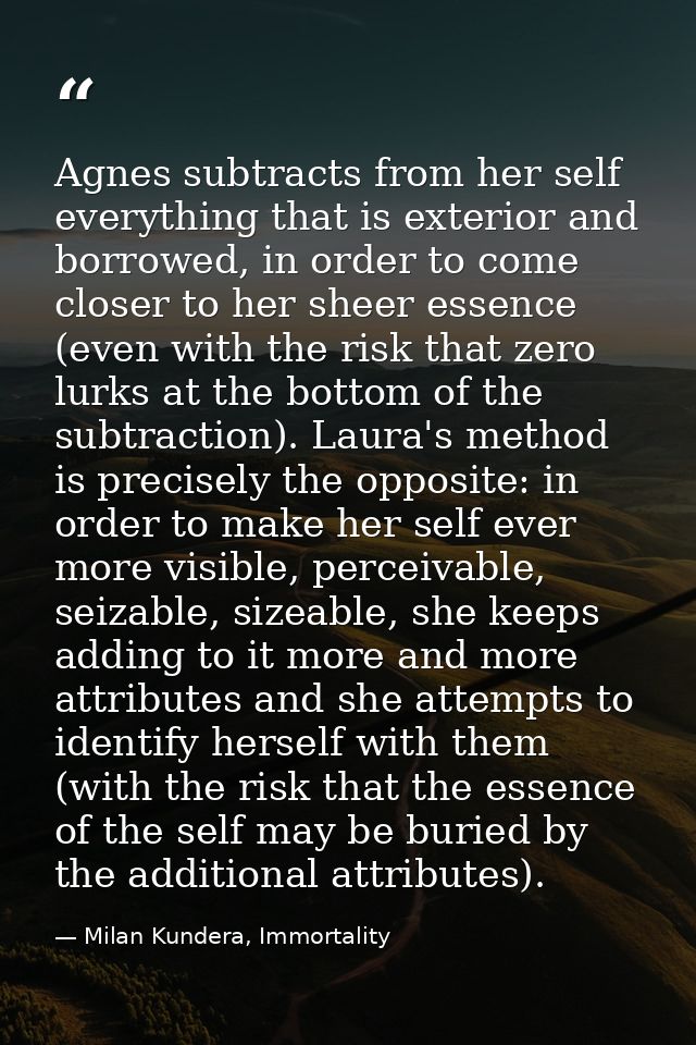Agnes subtracts from her self everything that is exterior and borrowed, in order to come closer to her sheer essence (ev — Milan Kundera, Immortality