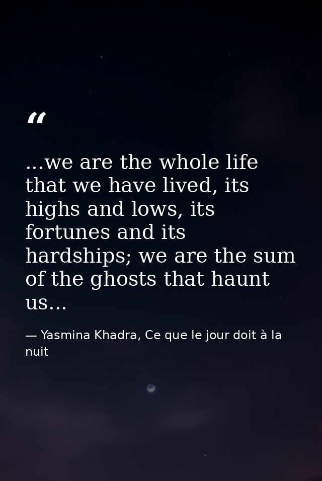...we are the whole life that we have lived, its highs and lows, its fortunes and its hardships; we are the sum of the g — Yasmina Khadra, Ce que le jour doit à la nuit