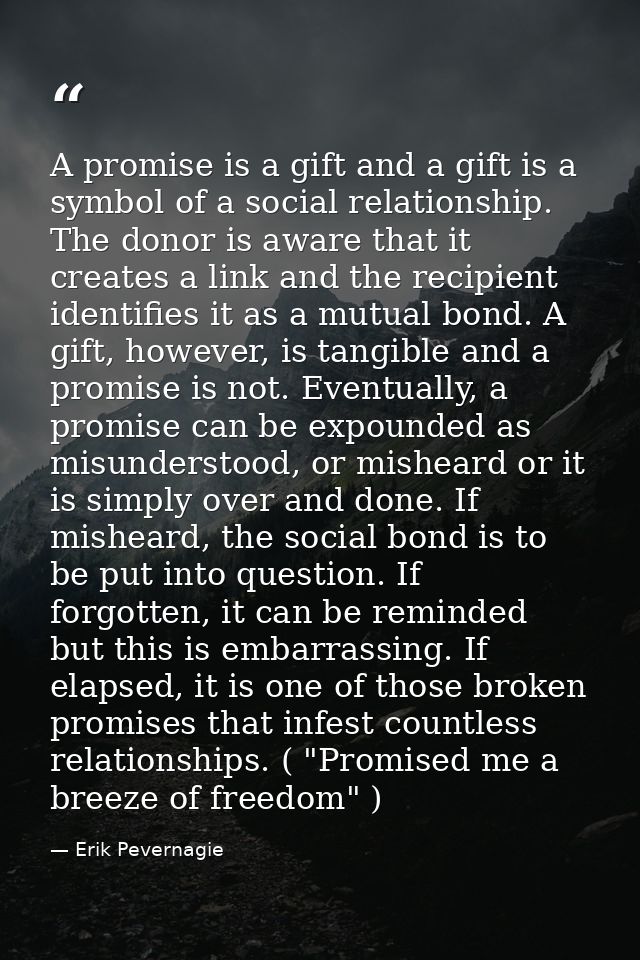 A promise is a gift and a gift is a symbol of a social relationship. The donor is aware that it creates a link and the r — Erik Pevernagie