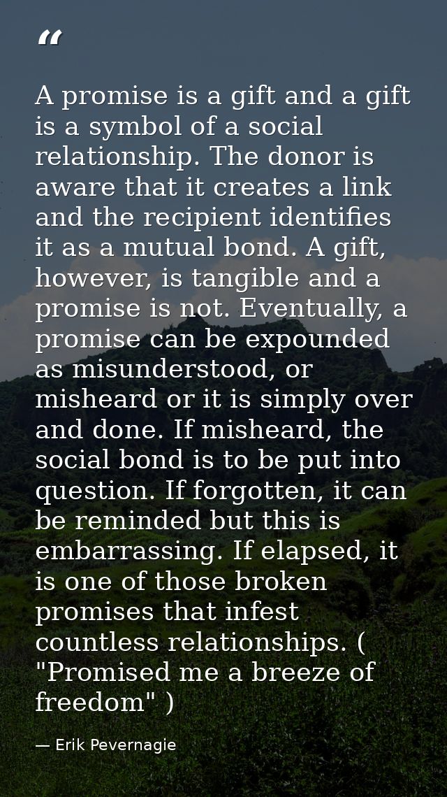 A promise is a gift and a gift is a symbol of a social relationship. The donor is aware that it creates a link and the r — Erik Pevernagie
