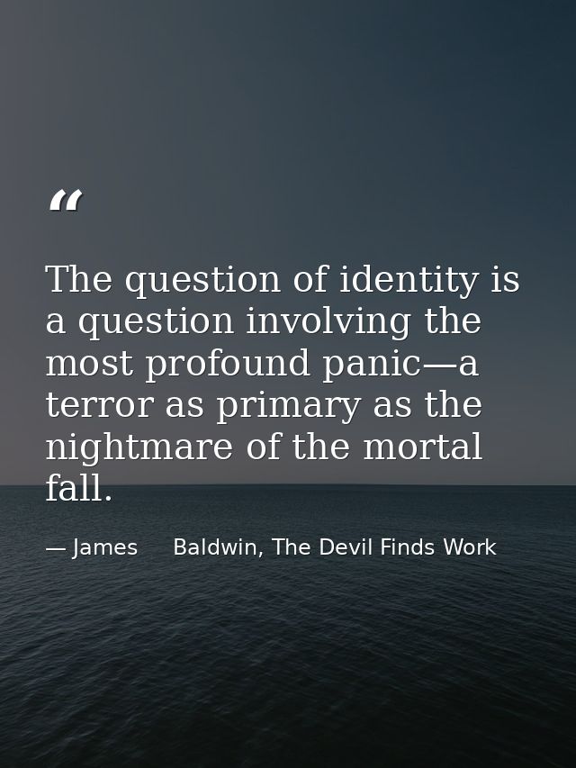 The question of identity is a question involving the most profound panic—a terror as primary as the nightmare of the mor — James     Baldwin, The Devil Finds Work