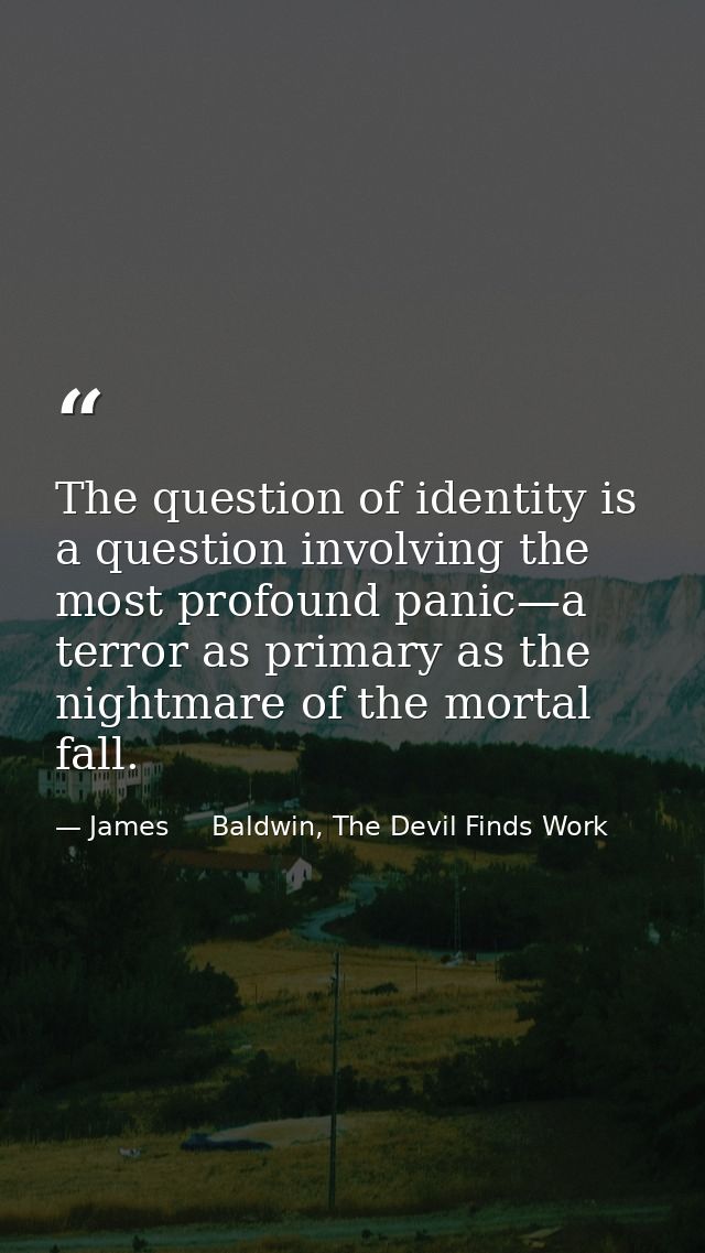 The question of identity is a question involving the most profound panic—a terror as primary as the nightmare of the mor — James     Baldwin, The Devil Finds Work