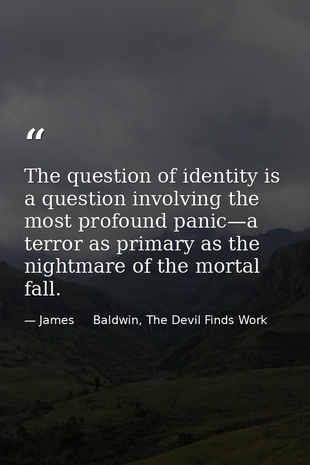 The question of identity is a question involving the most profound panic—a terror as primary as the nightmare of the mor — James     Baldwin, The Devil Finds Work