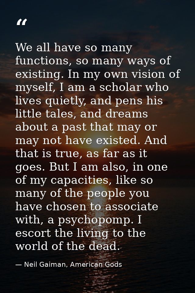 We all have so many functions, so many ways of existing. In my own vision of myself, I am a scholar who lives quietly, a — Neil Gaiman, American Gods