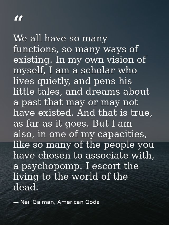 We all have so many functions, so many ways of existing. In my own vision of myself, I am a scholar who lives quietly, a — Neil Gaiman, American Gods