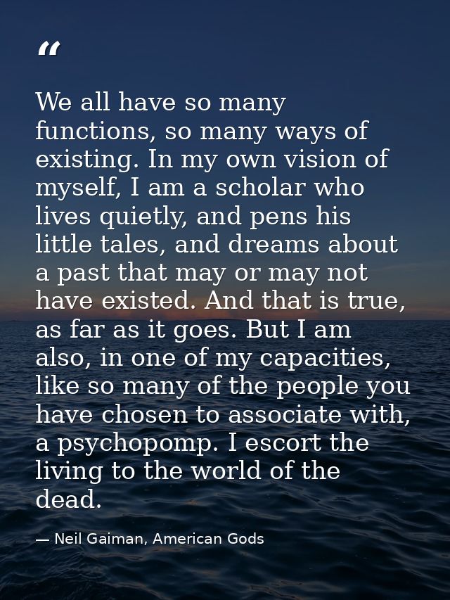 We all have so many functions, so many ways of existing. In my own vision of myself, I am a scholar who lives quietly, a — Neil Gaiman, American Gods