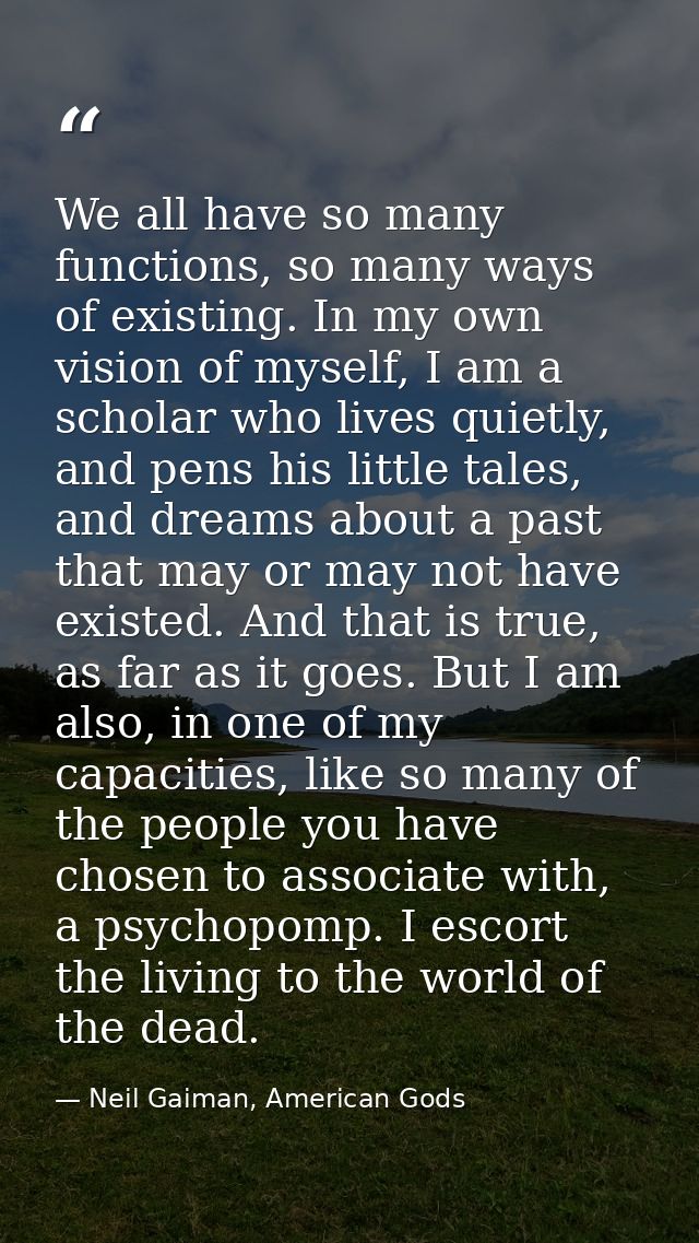 We all have so many functions, so many ways of existing. In my own vision of myself, I am a scholar who lives quietly, a — Neil Gaiman, American Gods