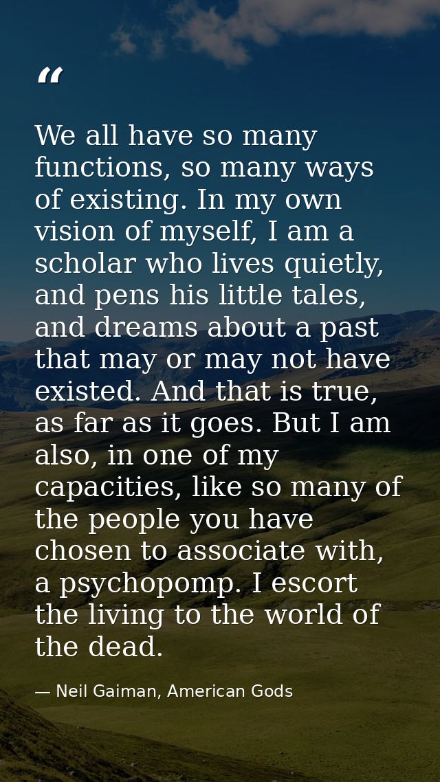 We all have so many functions, so many ways of existing. In my own vision of myself, I am a scholar who lives quietly, a — Neil Gaiman, American Gods
