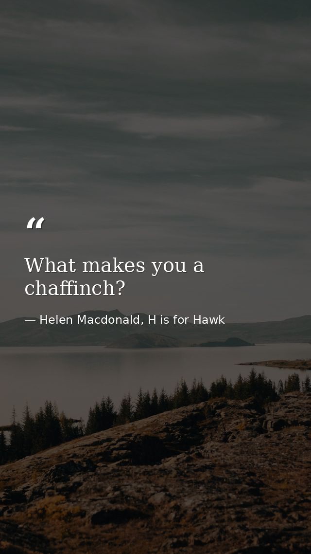 What makes you a chaffinch? — Helen Macdonald, H is for Hawk