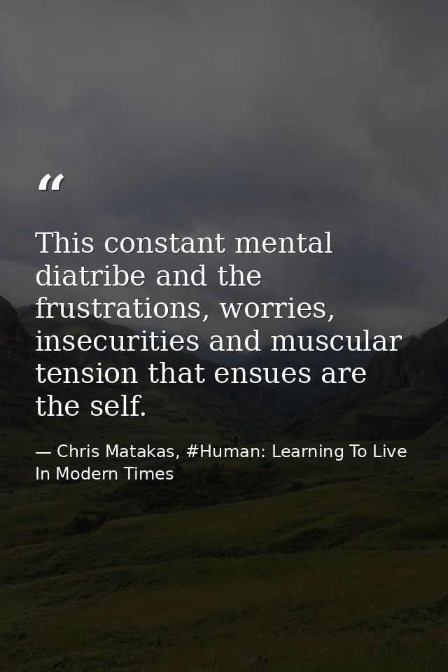 This constant mental diatribe and the frustrations, worries, insecurities and muscular tension that ensues are the self. — Chris Matakas, #Human: Learning To Live In Modern Times