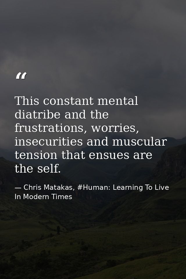This constant mental diatribe and the frustrations, worries, insecurities and muscular tension that ensues are the self. — Chris Matakas, #Human: Learning To Live In Modern Times