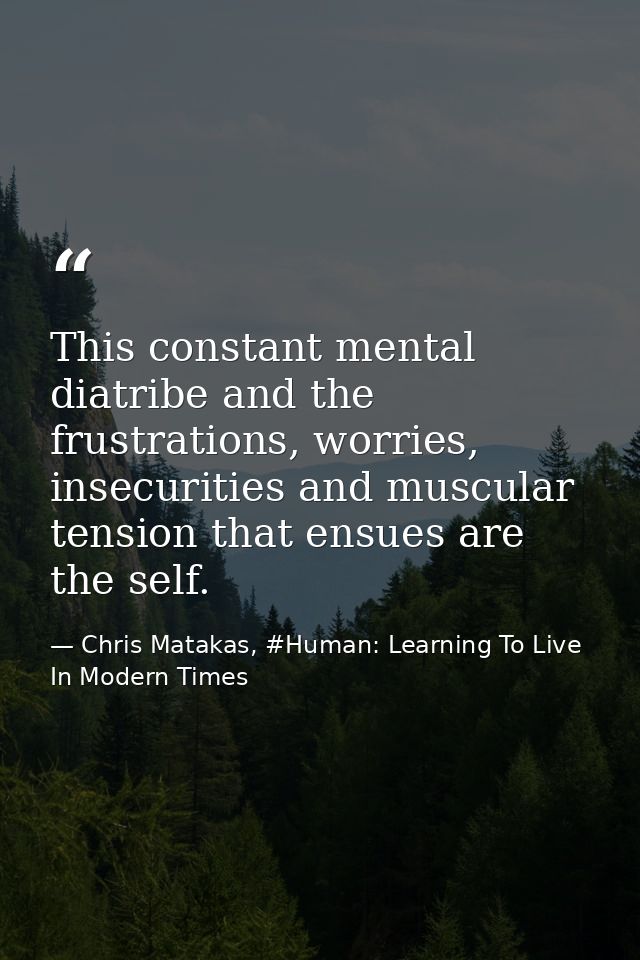 This constant mental diatribe and the frustrations, worries, insecurities and muscular tension that ensues are the self. — Chris Matakas, #Human: Learning To Live In Modern Times