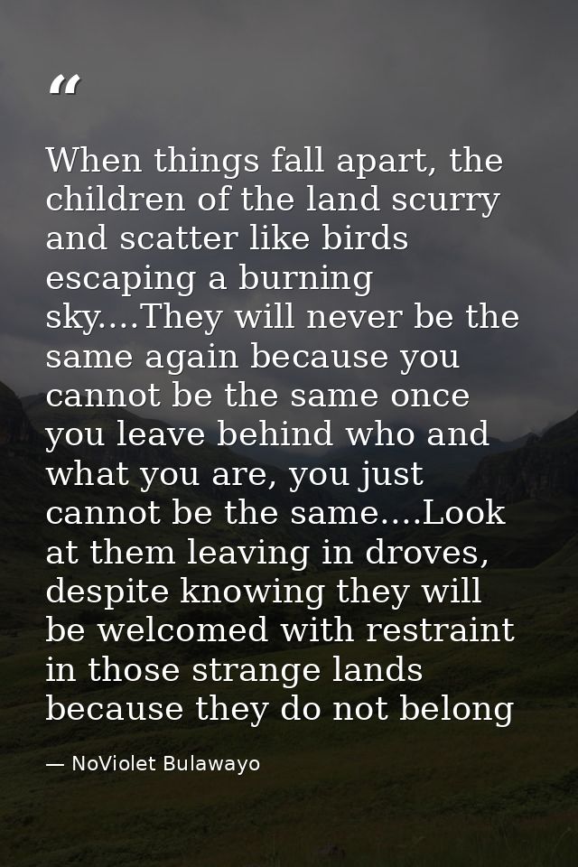 When things fall apart, the children of the land scurry and scatter like birds escaping a burning sky....They will never — NoViolet Bulawayo