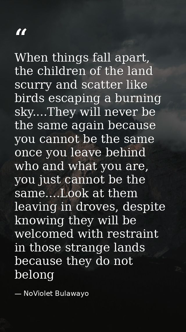 When things fall apart, the children of the land scurry and scatter like birds escaping a burning sky....They will never — NoViolet Bulawayo