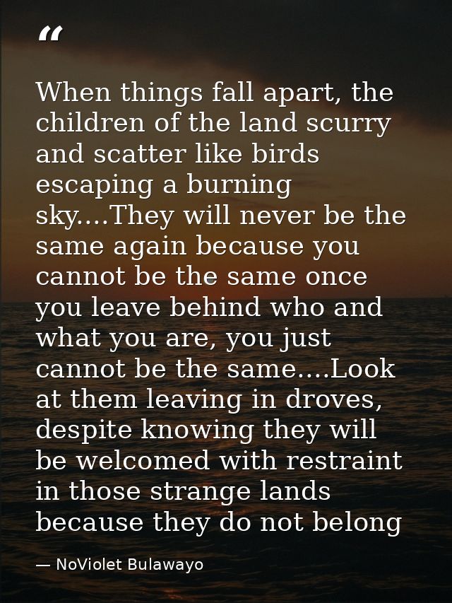 When things fall apart, the children of the land scurry and scatter like birds escaping a burning sky....They will never — NoViolet Bulawayo